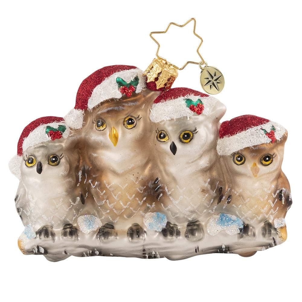 Christopher Radko HandCrafted European Glass Christmas Tree Ornament Decoration Its Owl in The Family Gem