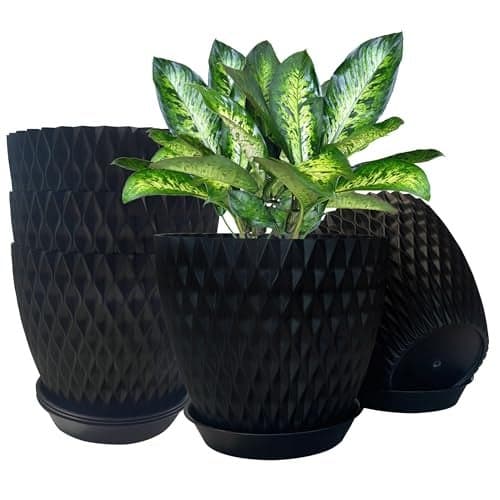 JRM Plastic Round Flower Pots 6.5 Inch with Drainage Holes & Tray Saucers | Indoor Outdoor Planters for Home, Balcony, Terrace, Garden & Office (Plant Not Include) (Black, Pack of 5)