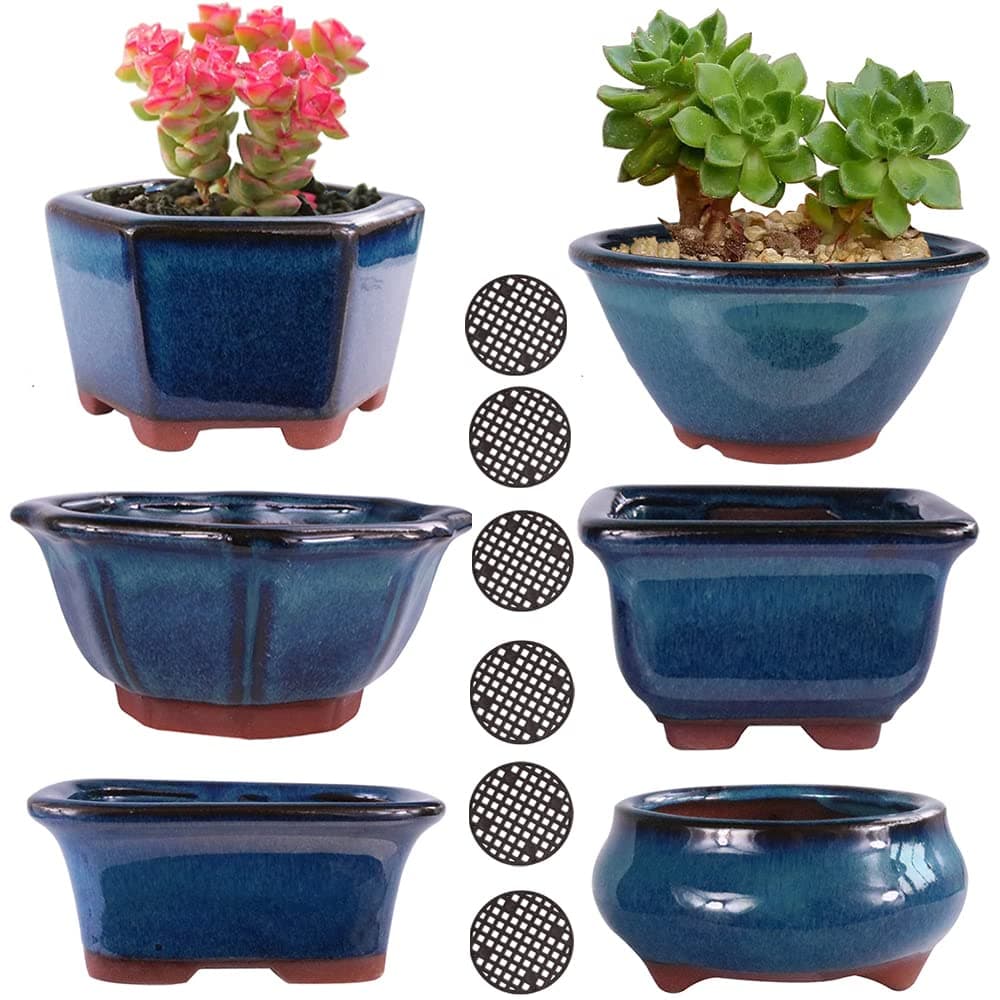 MUZHI 6PACK Glazed Bonsai Pot Planter 3 4 Small Succulent Pots Yixing Zisha Decorative Mame Bonsai Training Pot or Small Flower Cactus Starter Growing Planters Containers Blue