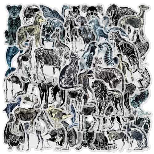 50Piece Animal XRay Skeleton Sticker Transparent Wildlife Animal Anatomy Stickers for ScrapbookingJournalsEducational DecorLaptopsWater BottlesScience Enthusiasts