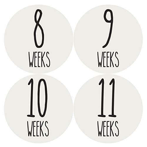 Months In Motion Pregnancy Growth Stickers Week to Week Pregnant Expecting Photo Prop Maternity Keepsake Baby Bump Weekly Stickers Photo Set of 36