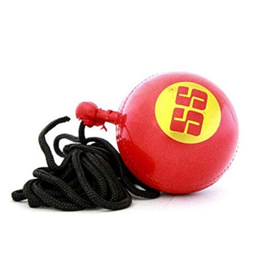 SS Leather Cricket Hanging Practice Ball Ideal for Batting Training & Hand-Eye Coordination, Multicolor