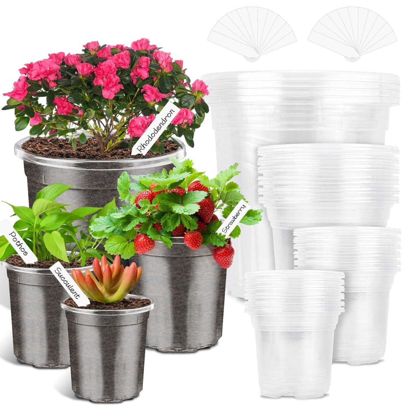 PACETAP 40Pack 655435 Inch Reinforced Clear Nursery Pots with Drainage Holes Variety Pack Thickened Plastic Plant Pots with 20 Plant Labels for Indoor Outdoor Flower Seed Starter