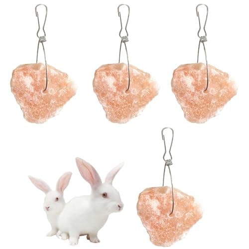 PINVNBY Salt Blocks for Rabbits4 Pieces Himalayan Small Pets Lick Salt Block Natural Mineral Salts with Hook Hanging Small Animals Chew Toys for Horses Bunny