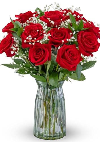Benchmark Bouquets Red Roses Bouquet Fresh Flowers for Delivery Mothers Day Flowers One Dozen Long Stem Roses Real Roses Mothers Day Gifts for Mom Glass Vase Included