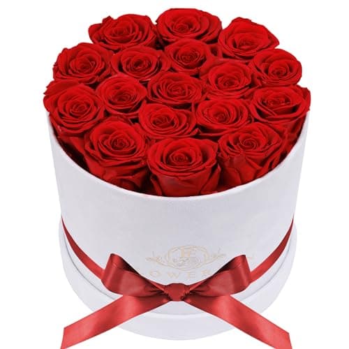 Prifroti 17 Flowers in a Luxury Suede Box, Birthday Gifts for Women, Preserved Flowers, Mothers Day Roses Gift for Mom, Red