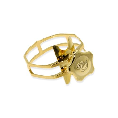 Theo Wanne Enlightened Saxophone Ligature with Premium Gold Finish for Soprano Alto Tenor Baritone Mouthpieces Innovative Design for Saxophone and Clarinet Players Size EAXPack of 1