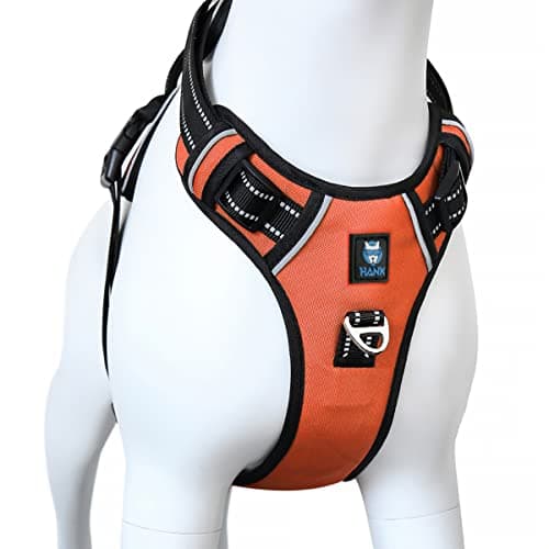 HANK Dog Harness | 3M Reflective | Body Vest for Small Dogs | Soft Comfortable | Adjustable Buckles | No Pull Harness for Training, Walking (Neon Orange - S (4-13Kg)