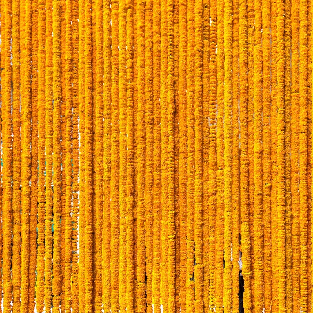 DIYANA IMPEX Marigold Garland For Decoration 5 Feet Long Strands Artificial Marigold Flowers Indian Dcor For Pooja Wedding Christmas Events Orange 5 1448 CM