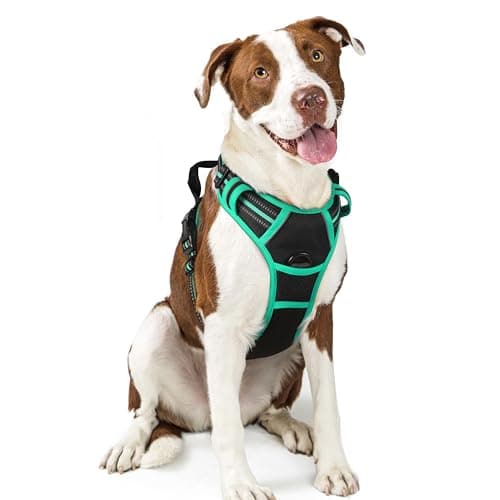rabbitgoo Dog Harness No Pull with 2 Leash Clips, Adjustable Soft Padded, Reflective Oxford No Choke Pet Vest with Easy Control Handle for Large Dogs, Black & Turquoise, L