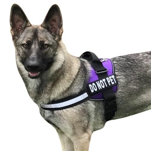 Doggie Stylz Dog Harness with DO NOT PET Patches – No Pull Service Dog Vest and Service Animal Vest for Dogs – Adjustable Gentle Leader for Dogs – Reflective, Heavy-Duty for Training and Walking