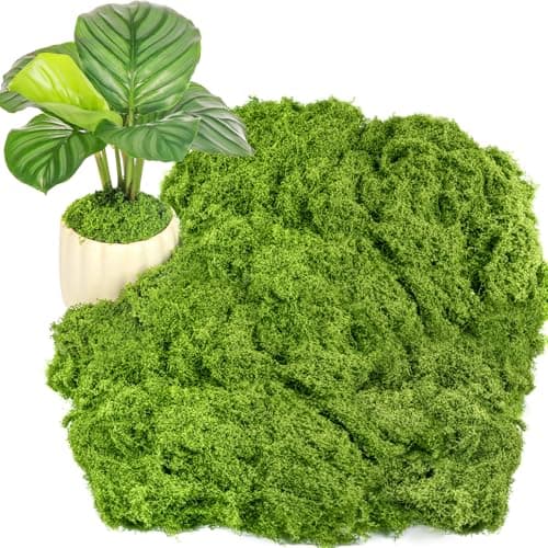 Draupnir Fake Green Moss for Potted Plants 106OZ Fake Moss for Plants IndoorFaux Moss for Crafts Artificial Moss Decor DIY Decorative Moss for Fairy Garden Glass Containers Wedding 300g