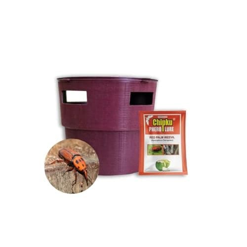 Chipku - Buket Trap with Red Palm Weevil Pack of 1