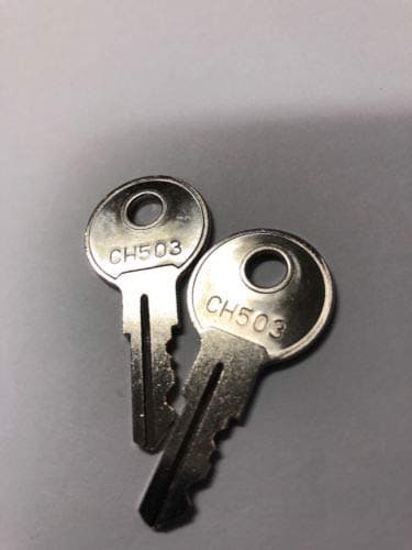 Cut Keys Code CH503 for RV Compartment Lock Truck Tool Box Cargo 2 Pcs