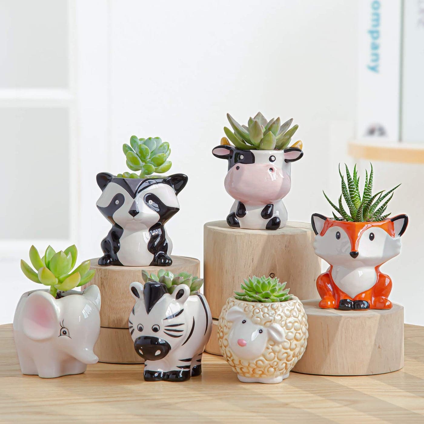 YINUOWEI Cute Succulent Planter Succulent Pots with Drainage Hole Flower Plant Pot Cartoon Ceramic Tiny Pot for Indoor Mini Flower Planters Cactus Container Set of 6