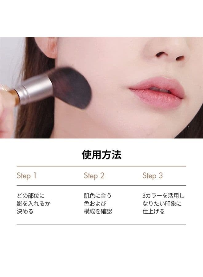 Too Cool for School - Artclass by Rodin Shading Master #1 Classic with Brush, Slimming Facial, Natural Gradation
