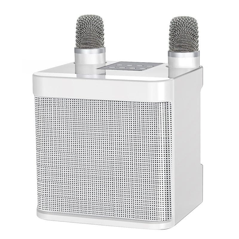 Kd-203 Karaoke Suit Karaoke Audio Wireless Bluetooth Dual Microphone Speaker Microphone All-In-One Machine
