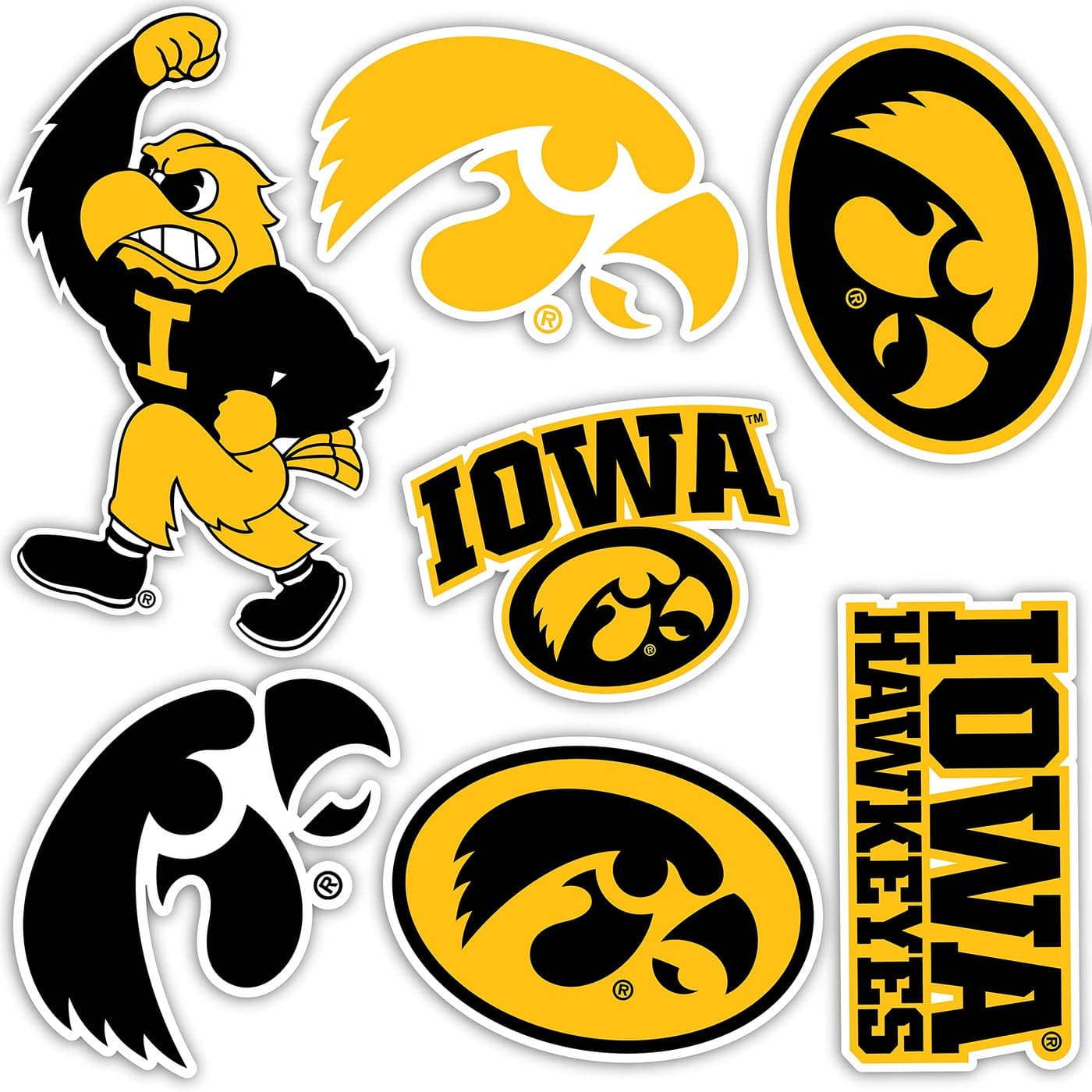 Desert Cactus University of Iowa Sticker Hawkeyes Vinyl Decals Laptop Water Bottle Car Scrapbook Sheet T2 Type 2