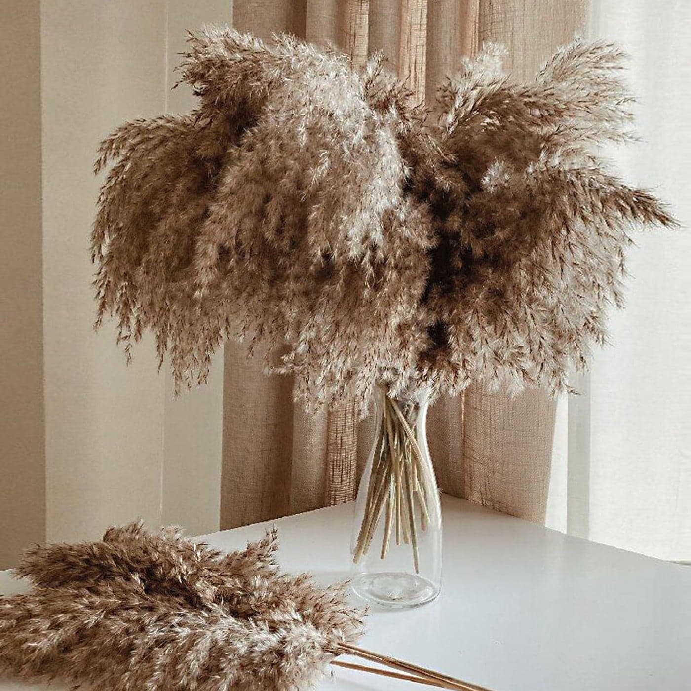 30 Stems Home Decor Natural Dried Pampas Grass Fluffy Brown Pompas Grass Dry Small Pampas Bulk for Living Room Table Decor Boho Decor Party Wedding Decor Gift177 inch 30 Brown