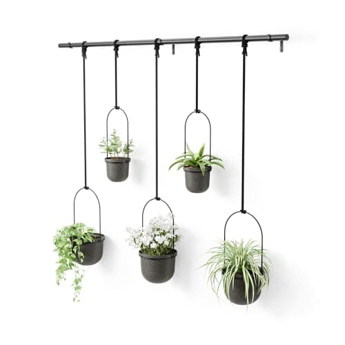 Umbra Triflora Hanging Planter for Window Indoor Herb Garden Set of 5 Black