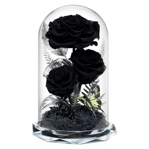 Tyvouflo Forever Flowers in Glass Dome Preserved Roses for Her Women Valentines Day Mothers Day Anniversary AGrade Black Roses Home Decor for Girlfriend Wife Sister Mom Black