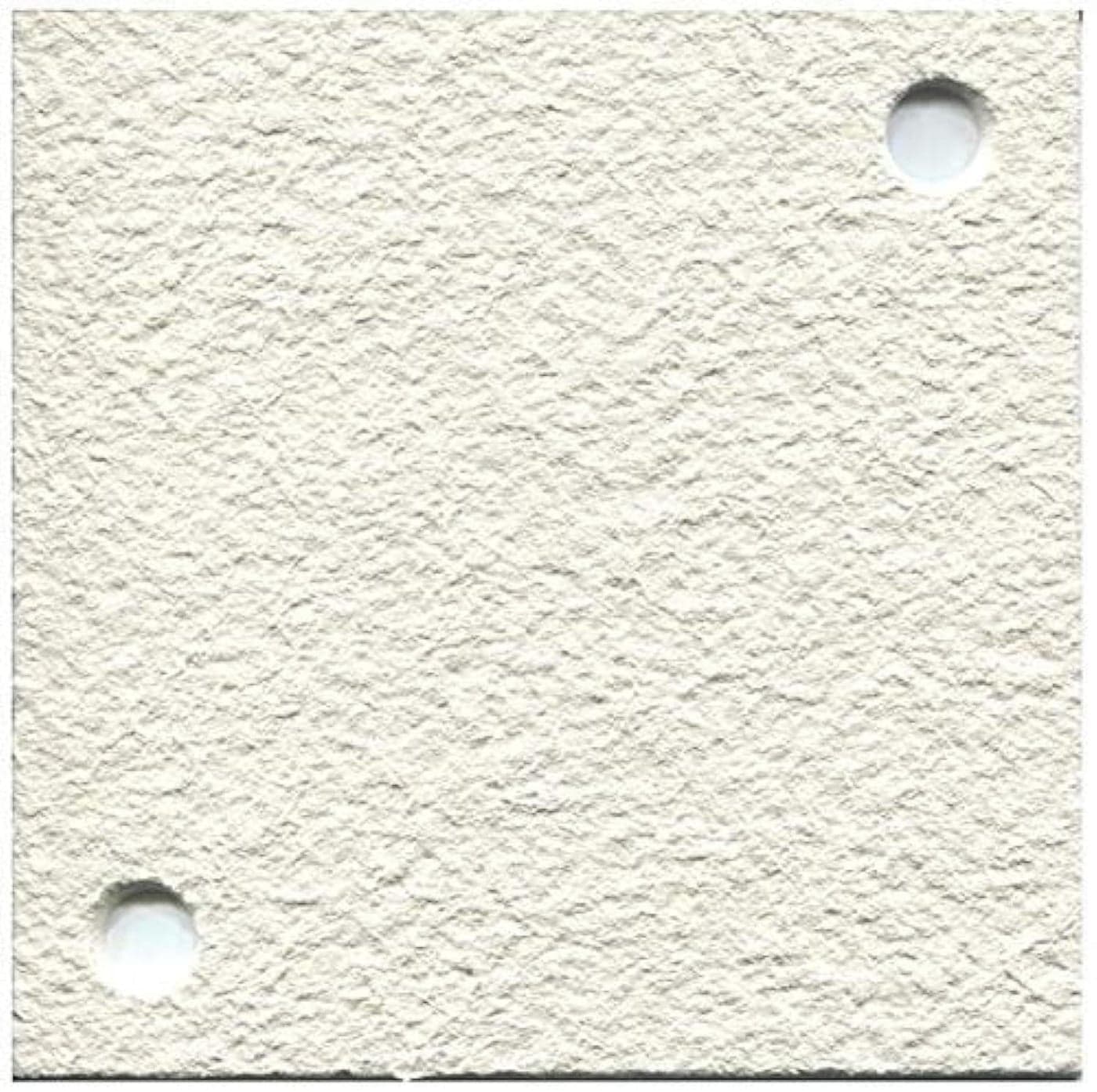 #2 Filter Pads Compatible with Buon Vino Super Jet, 2.0 Micron White (Pack of 51). 2 Micron Filtering pads. Filter Wine Beer, Kombucha, Mead Mash. Polishing filtarion| Not a Buon Vino product.