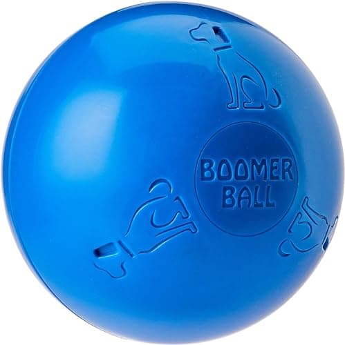 BOOMER BALL 6 inch Virtually Indestructible Best Dog Toy Boredom Busting Football Tough Durable Medium Dog Ball Floats on Water Great for Mental Stimulation High Energy Dogs Assorted Colours