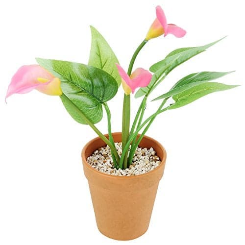 Wonderland Calla Lily with Plastic Pot, Artificial Flower Pot, Garden Decor