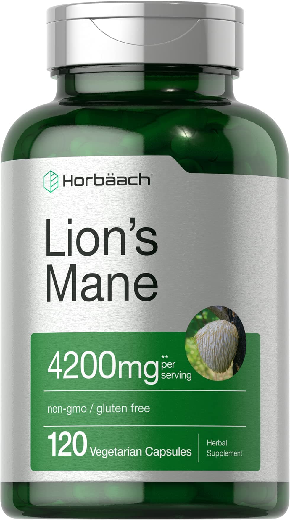 Horbach Lions Mane Mushroom Extract 120 Capsules Vegetarian NonGMO Gluten Free Supplement