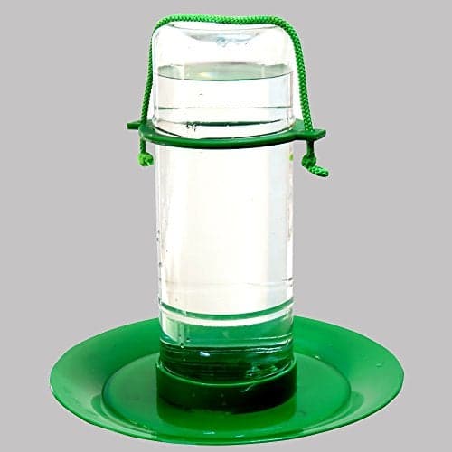 Amijivdaya Medium Water Feeder (1 Piece)