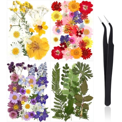 Nuanchu Pressed Flowers Bulk Dried Flower for Crafts, Dried Wildflowers Leave Natural with Tweezer for Resin Mold Scrapbooking Nail Soap Making DIY(Classic Style,Bright Colors)