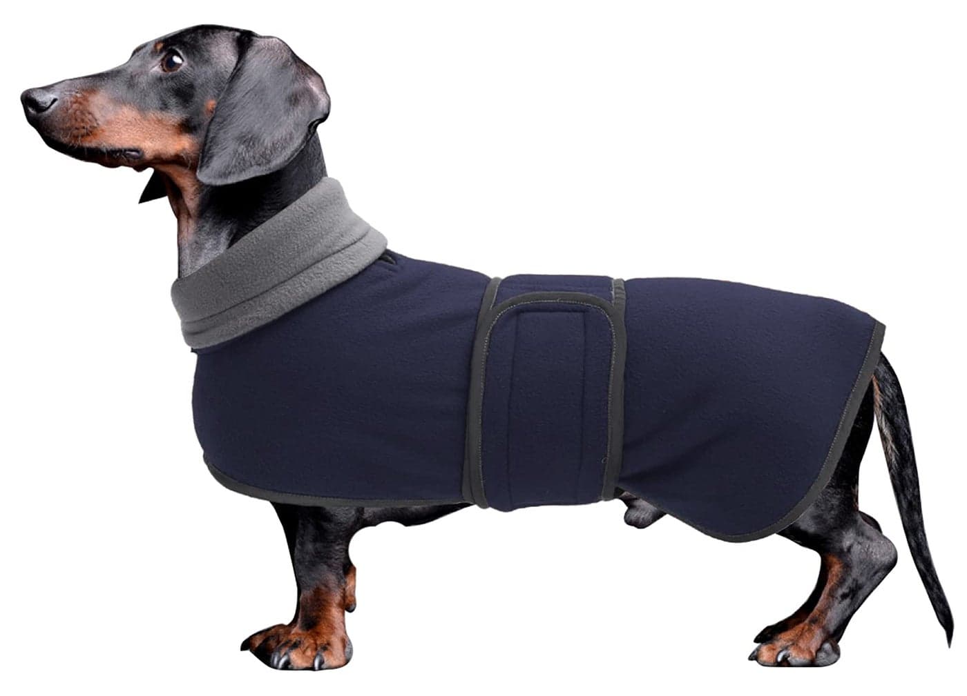 Dachshund Coats Sausage Dog Fleece Coat in Winter Miniature Dachshund Clothes with Hook and Loop Closure and high vis Reflective Trim Safety - Navy - M