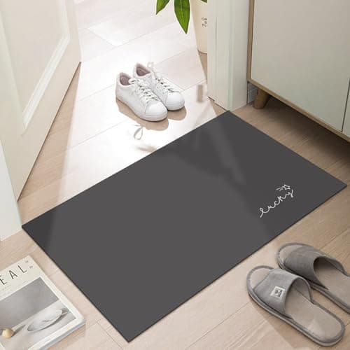 LYGLIGH Ultra Thin Door Mat Indoor Entrance, 1/10 in Thin Door Mats for Inside Entry, Non-Slip Rubber Backing Washable Doormat, Fade Resistant, Absorbent, Low Profile Dirt Trapper, 24"X16", Black