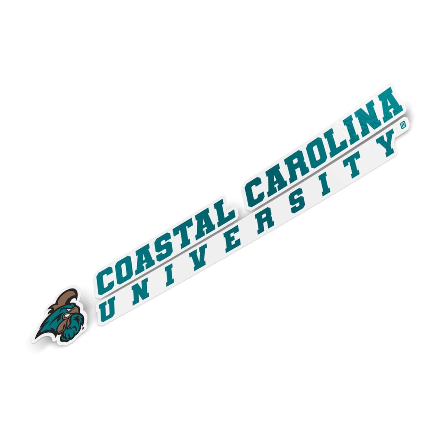 Desert Cactus Coastal Carolina University Chanticleers Name Logo Vinyl Decal Laptop Water Bottle Car Scrapbook 8 Inch Sticker