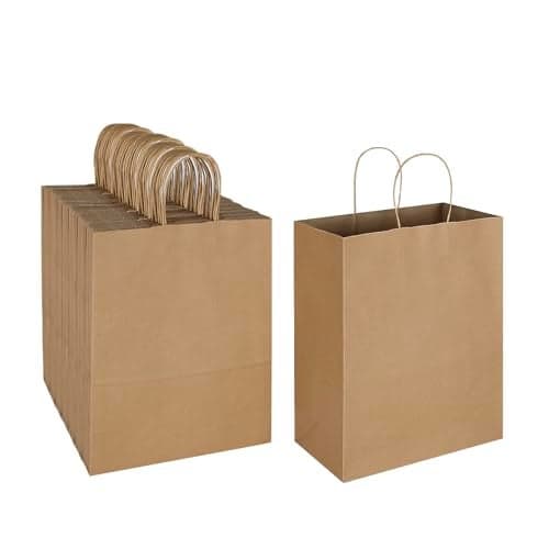 Oikss 100 Pack 10x5x13 Plain Natural Brown Kraft Paper Bags with Handles Bulk for Birthday Party Favors Grocery Retail Shopping Business Goody Recycled Craft Gift Bags Large Size 100 Count