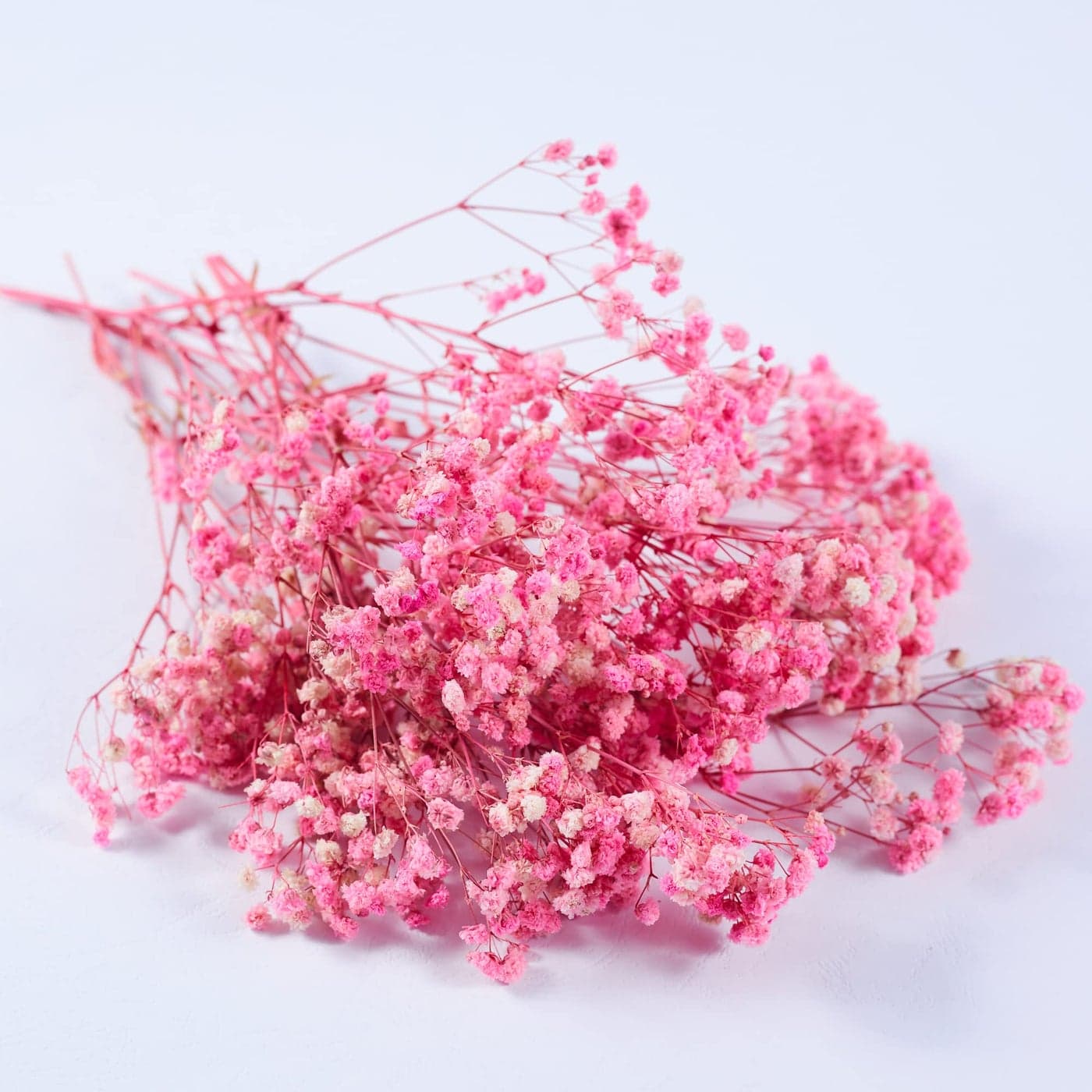 Birtlynn Preserved Babys Breath 3 Bunches 100 Natrual Fresh Gypsophila Long Lasting Flowers for Vase Arrangements Home Decoration Photo Props Parties and Weddings DIY DcorPink