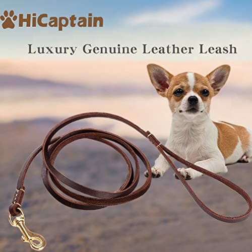 HiCaptain 1/5 Inch Thin Leather Dog Leash for Small Dogs, 6ft Soft Genuine Leather Training Dog Leash for Medium Dogs, Puppy, Cats, Up to 15 lb