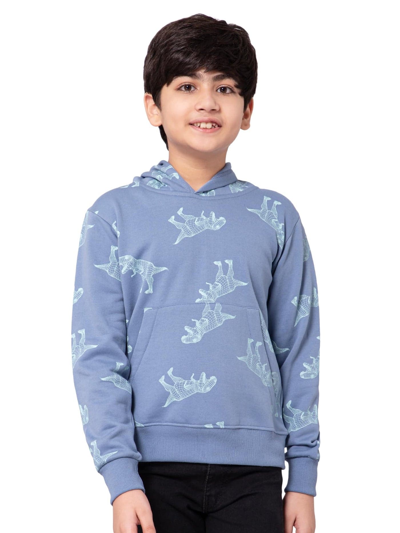 Alan Jones Clothing Boys Cotton All Over Print Hoodies Regular Fit Sweatshirt (Blue_9 Years-10 Years)
