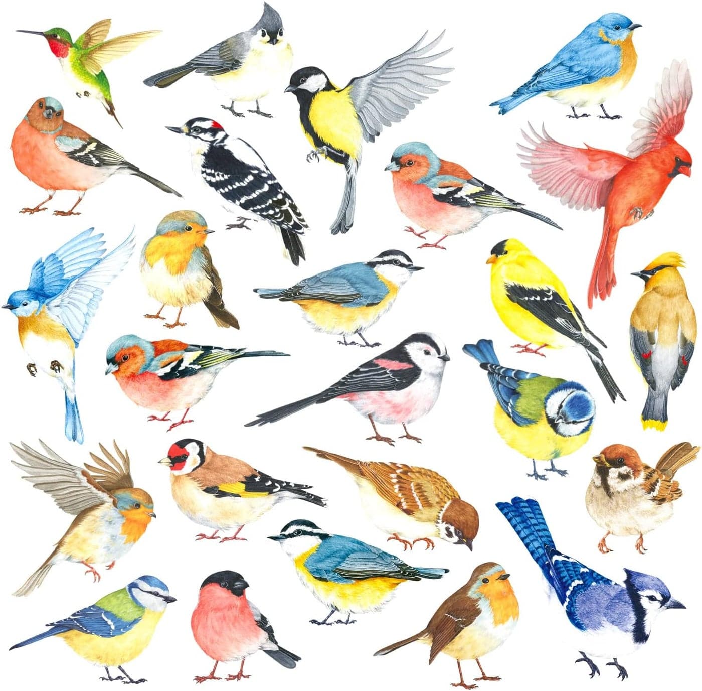 DECOWALL DS48063 25 Little Birds Wall Art Decals Stickers Kids Peel and Stick Removable Nursery Bedroom Living Art dcor Tree Flying Branch DIY Vinyl Home Decoration Flower Watercolor Colorful