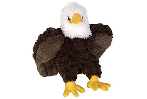 Wild Republic Bald Eagle Plush Stuffed Animal Plush Toy Gifts for Kids Cuddlekins 8 Inches