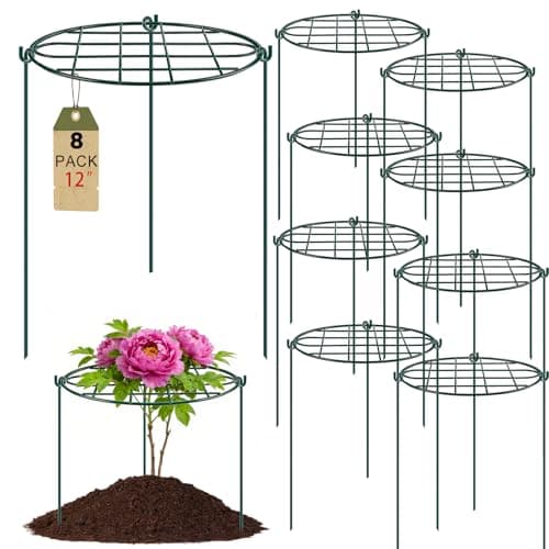 TTQ 8 Pack 12 x 157 inch Peony Cages and SupportsMetal Grow Through Plant Supports for Outdoor PlantsFlowers Support Rings TopHeavy Plant Brace Support Hoop for VegetablesRoseTomatoOrchids