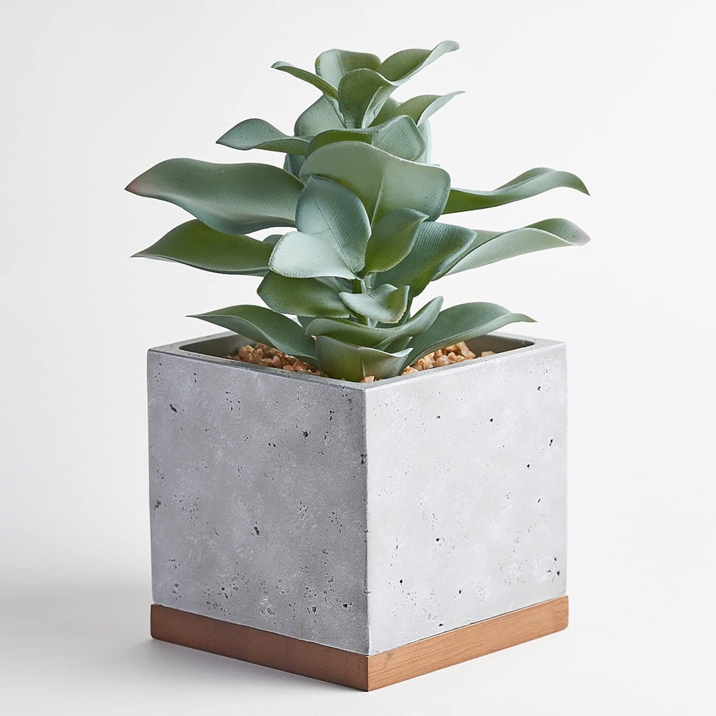 Seirai Living Co 8 Inch Artificial Succulents in Pots Artificial Plant Decor Faux Succulents Plants Artificial Fake Office Desk Plant Coffee Table Shelf Decor Sage Green