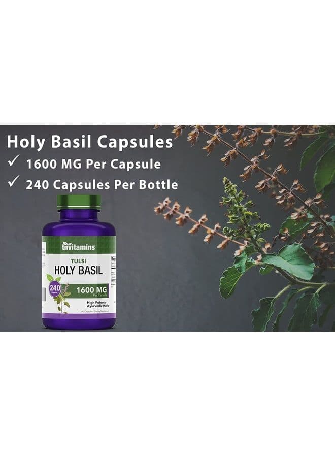 Tulsi Holy Basil Capsules (1600 MG x 240 Capsules) | May Promote Stress & Frustration Relief* | Tulsi Holy Basil Leaf Powder Extract | Adaptogenic, & Ayurvedic Herb | TNVitamins