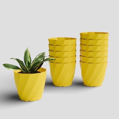 YUCCABE ITALIA SHERA Swirl 6 Inch Plastic Flower Pot Set of 12 Pices Round Planter Pot Plastic Gamle Suitable for Indoor and Outdoor (Yellow)