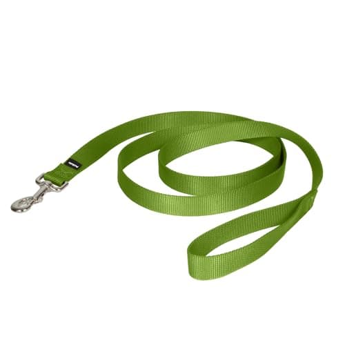 PetSafe Nylon Dog Leash Strong, Durable, Traditional Style Lead with Easy to Use Bolt Snap for Small, Medium and Large Dogs 1" x 6', Apple Green