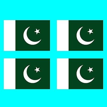4 X Pakistan Flag Temporary Tattoo Lasts 1 week Pakistani moon star crest Flag