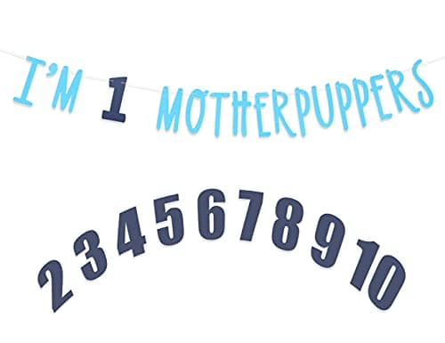 Festiko® Its My Birthday Mother Puppers Banner - Dog Birthday Party Decorations,Dog Birthday Photo Props,Happy Birthday Dog Décor,Free Combination of 0-9 Numbers,Lets Pawty (Lake Blue Navy Blue)