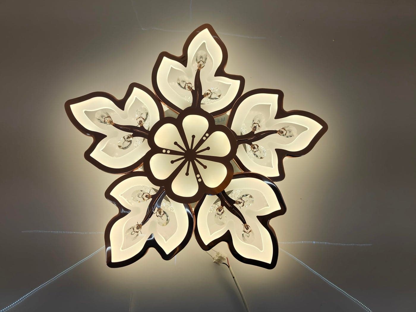 swanart Elegant Floral LED Ceiling Light – Artistic Flower Design Lighting for Living Room, Bedroom, Hallway – Stylish and Modern Home Décor Accent