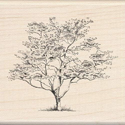 Inkadinkado Dogwood Tree Wood Stamp for Arts and Crafts 3 W x 3 L