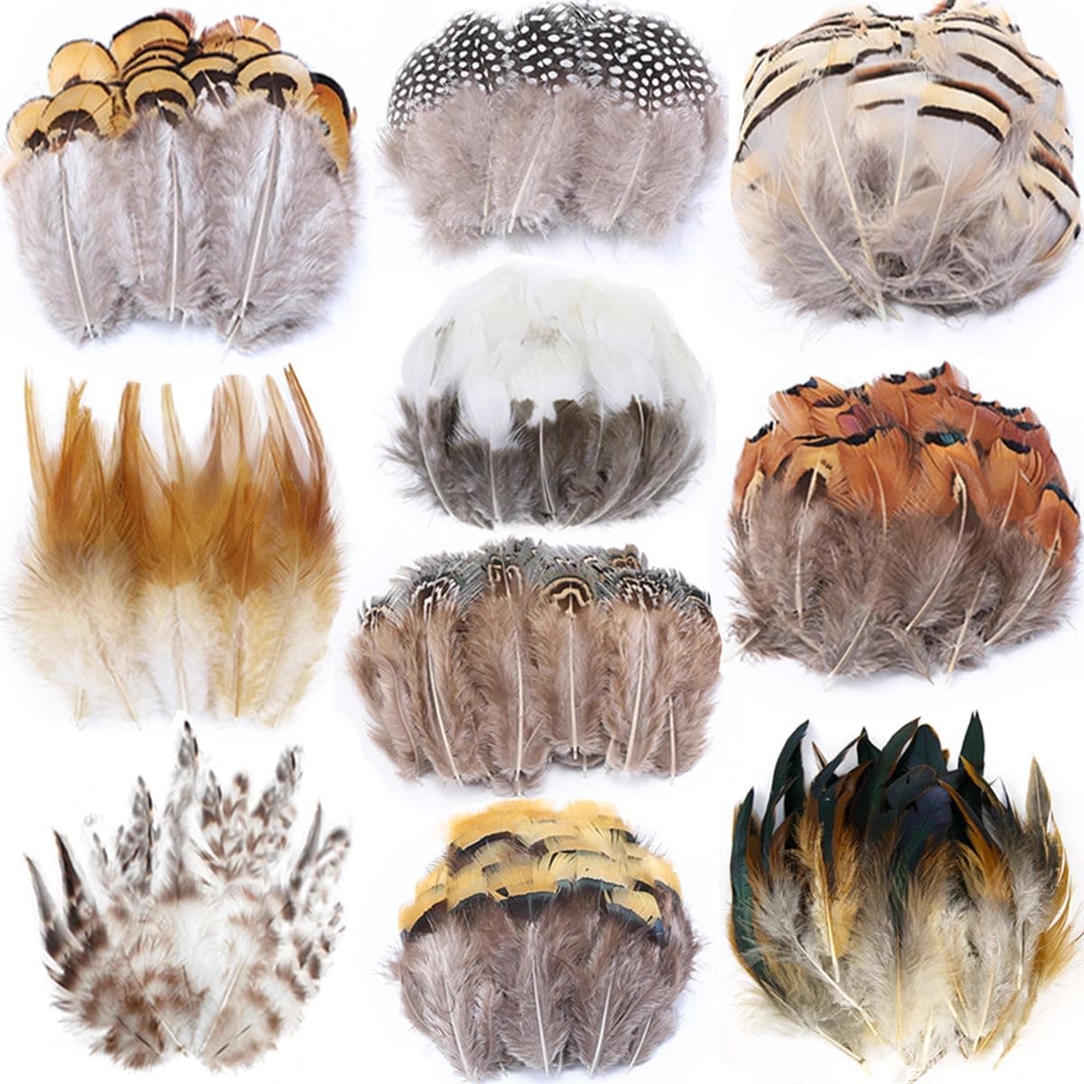 200pcs 10 Style Natural Feathers Assorted Mixed Feathers for Dream Catcher Crafts Decoration 10 Styles 200 Pcs